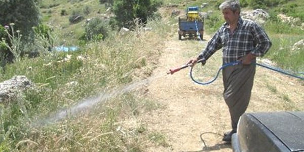 Karaman'da çekirgelere karşı mücadele