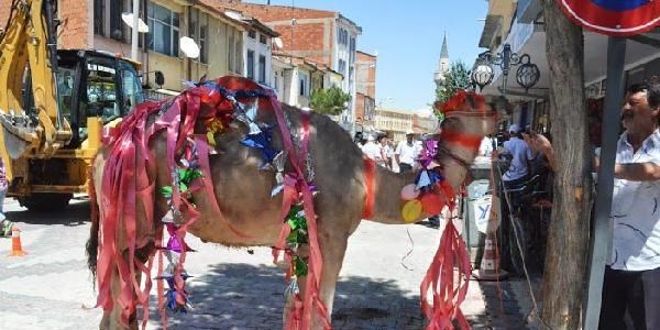 Cadde çift yönlü olunca, esnaf deve kurban etti