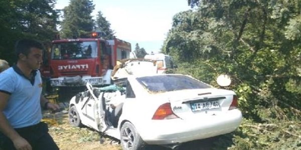 Kesilen ağaç otomobilin üzerine devrildi: 1 ölü, 2 yaralı