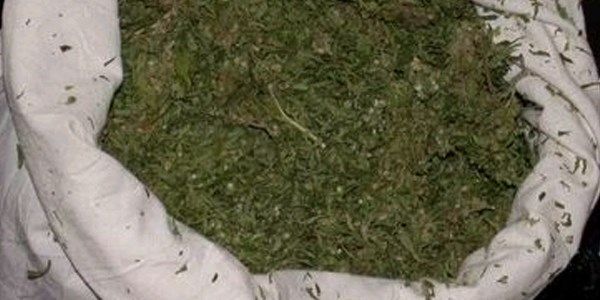 Çarşamba'da esrar operasyonu