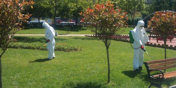 İstanbul'da keneyle organik mücadele
