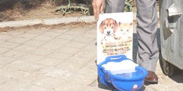 Beldibinde sokak hayvanları için suluk