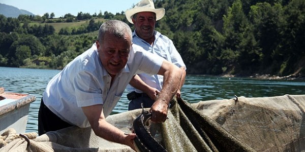 Nesli yok olmasın diye kafeslerde yetiştiriliyor