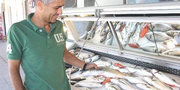Balık diyarında balık yok