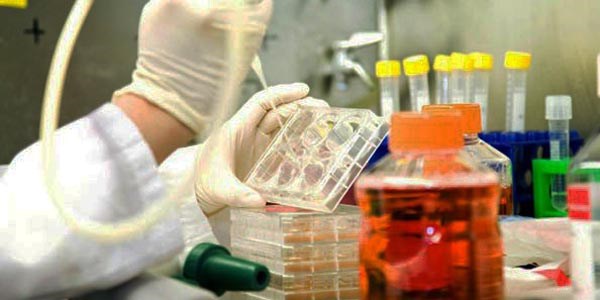 AIDS ve kanser tedavisinde milli ilaç yolda