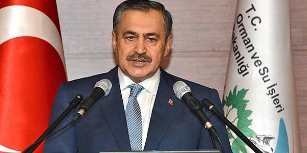 'Orman yangınlarında zafiyet söz konusu değil'