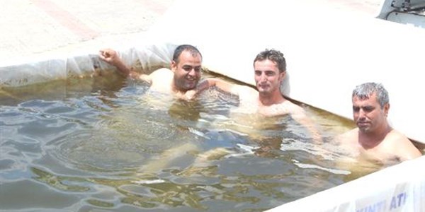 Tır'da havuz keyfi