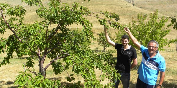 Bin 847 metrede kiraz yetiştiriyor