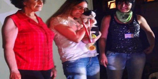 Eskişehir'de kedi güzellik yarışması