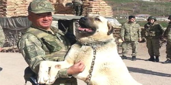 Kalp krizi geçiren uzman çavuş toprağa verildi