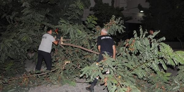 Devrilen aa yolu kapad