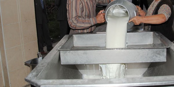 Çiğ sütün doğrudan tüketiciye satışı yasak değil