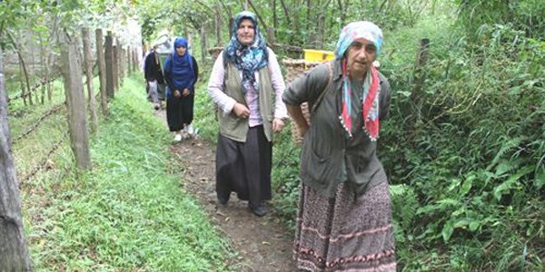 100 yıllık armut ağacı için yola karşı çıkıyorlar