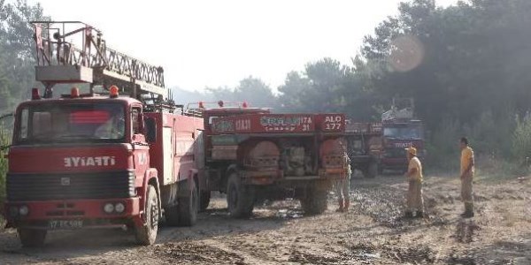 Gelibolu'daki orman yangını kontrol altına alındı