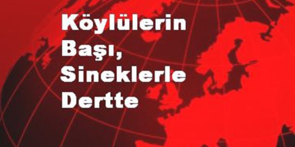 Köylülerin başı, sineklerle dertte
