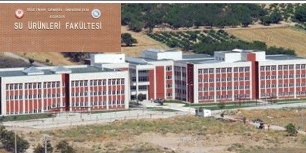 Karşılıksız burs vaadine rağmen 1 kişi tercih etti