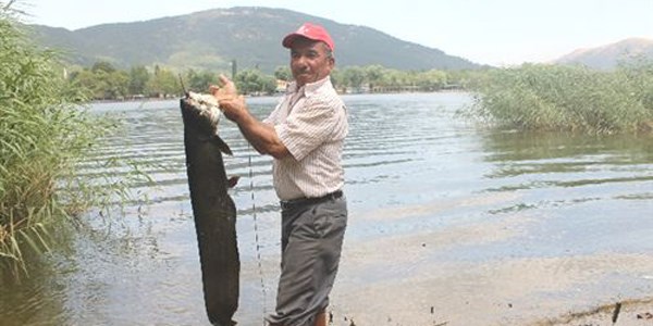 'Rastgele' dedi, 20 kiloluk 'yayn' yakalad