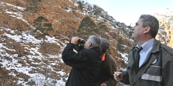 Dağ keçisini avlayıp yiyenlere 14 bin lira ceza