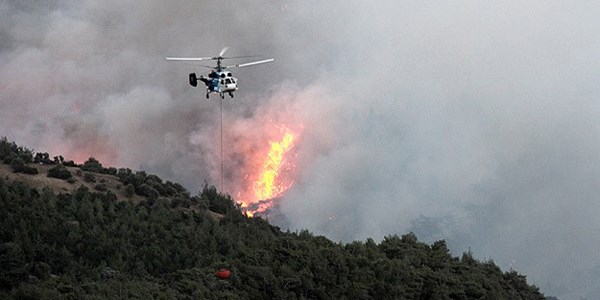 Yanan orman alanında ranta geçit yok