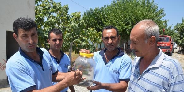 Eve giren yılanı itfaiye ekibi yakaladı