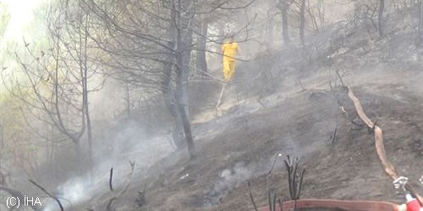 Hatay'da orman yangını sürüyor