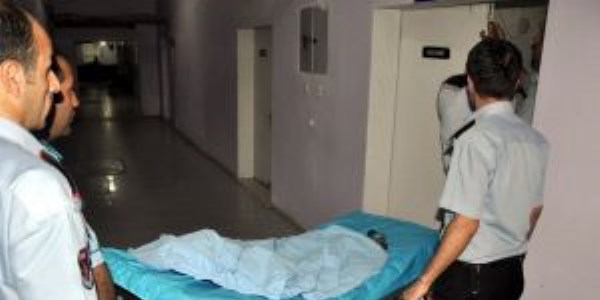 Nusaybin'de trafik kazası: 1 ölü