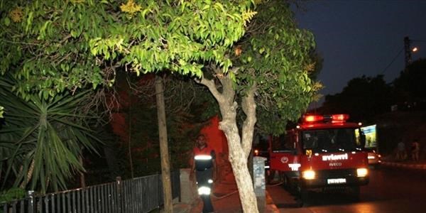 Ayvalık'ta yangın endişesi