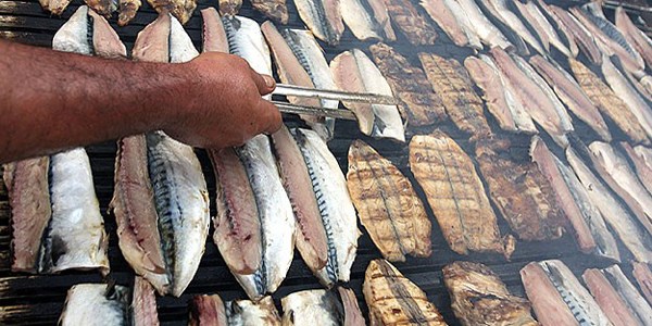 Haftada bir kez balık yemek hastalıklardan koruyor