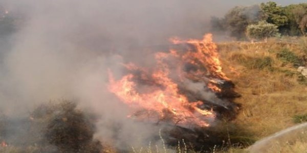 Aydın'da örtü yangını korkuttu