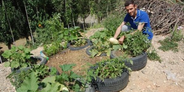 Lastik bahçesinden ürün almaya başladı