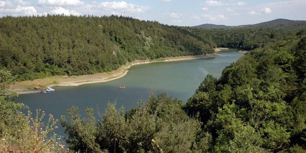 İki şehir ormanında ihale vakti