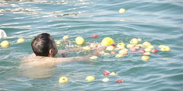 Göle dökülen 100 kilogram elmayı toplamak için yarıştılar