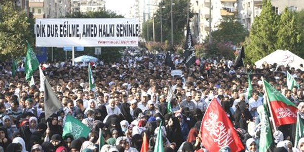 Diyarbakır'da Mısır'a destek mitingi