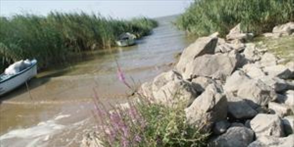 İsrail Sazanı'nın fiyatı düşünce balıkçılar avlanmaya ara verdi