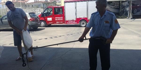 Akaryakıt istasyonuna giren yılan için itfaiye operasyon düzenledi