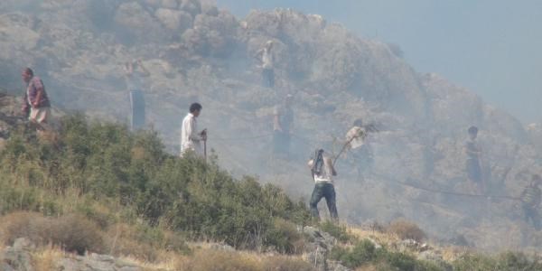 Hatay'da 15 hektar ormanlık alan yandı