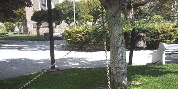 Mimar Sinan Parkı'ndaki zincirli ağaç