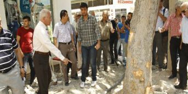 Burdur'daki ağaç kesme tartışması