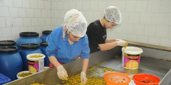 Turşucu köyün, kadın işçileri