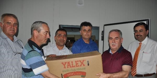 Kırkağaç'ta 430 bin çilek fidesi dağıtıldı