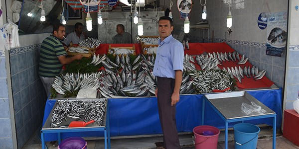 Karadeniz'de tezgahlar palamut ve istavritle doldu