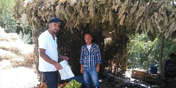 Yetiştirdiği sebzeleri satarak kardeşlerini okutuyor