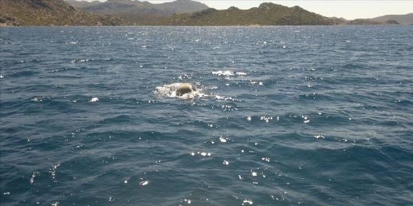 Marmaris'te ikinci Badem heyecanı