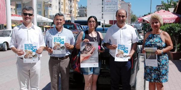 En fazla hayvan haklar ihlali Antalya'nn ilelerinde