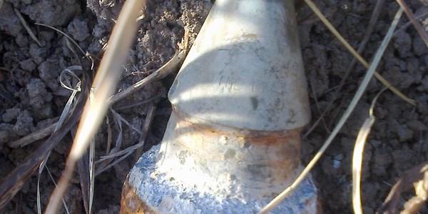 Edirne'de bomba paniği