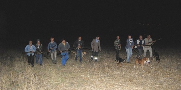 Tekirdağ'da 2 köyü aç domuzlar ve kurtlar bastı