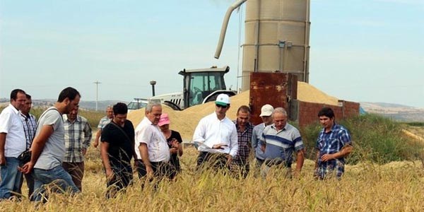 Gönen'de 80 bin 790 dekar alanda çeltik ekimi yapıldı
