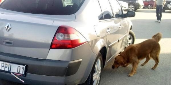 Van'da 18 kilo eroin, 5 gözaltı