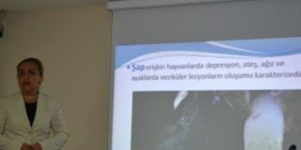 Hayvan sevkiyatları özel izinle gerçekleştirilecek