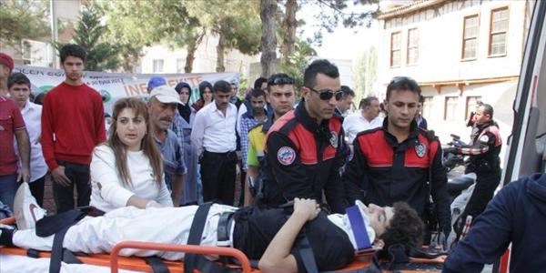 Yunuslardan kaçarken kamyonete çarptı